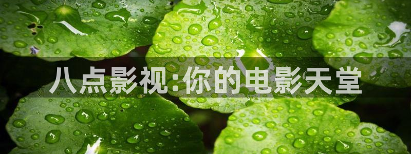 福利电影神马影院：八点影视:你的电影天堂