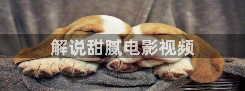神马影院,天堂网：解说甜腻电影视频