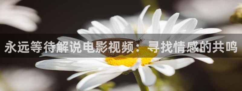 神马影院特