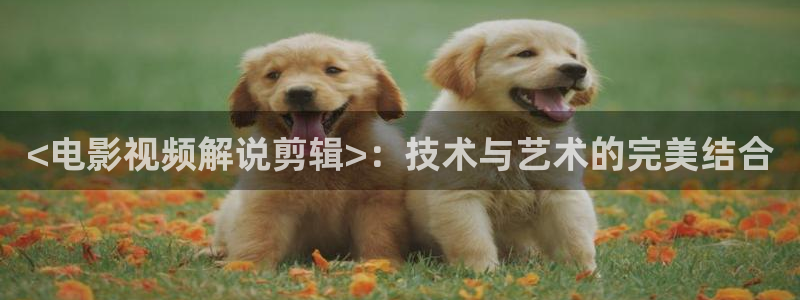 神马影院韩国理伦：<电影视频解说剪辑>：技术与艺术的完美结合