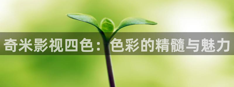 神马影院bbixx：奇米影视四色：色彩的精髓与魅力