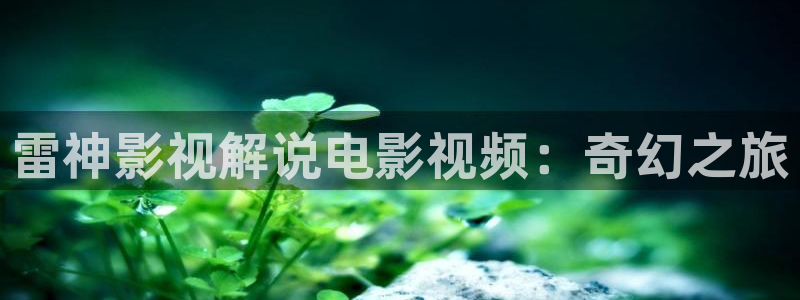 神马影院白旗：雷神影视解说电影视频：奇幻之旅